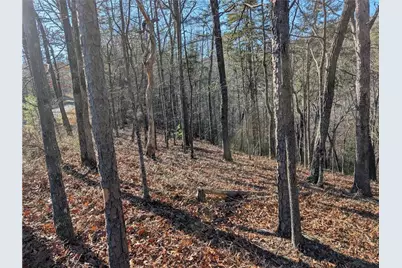 1400 Foxhound Trail NE, Ranger, GA 30734 - Photo 3