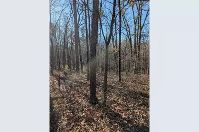 1422 Hanna Drive, Ranger, GA 30734 - Photo 1