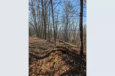 234 Stirratt Road, Ranger, GA 30734 - Photo 5