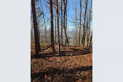 234 Stirratt Road, Ranger, GA 30734 - Photo 3