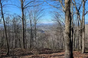 234 Stirratt Rd, Ranger, GA 30734 - Photo 1