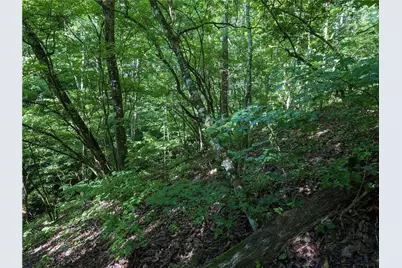 772 Naomi Court, Ranger, GA 30734 - Photo 7