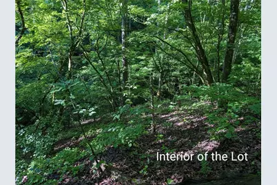 772 Naomi Court, Ranger, GA 30734 - Photo 5