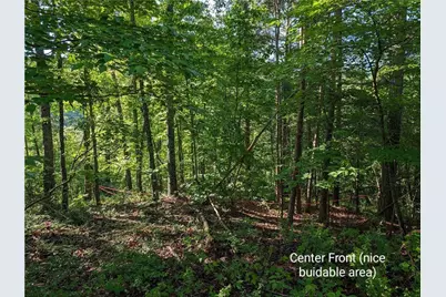 772 Naomi Court, Ranger, GA 30734 - Photo 3