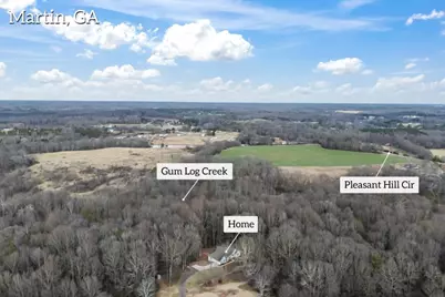 16834 Hwy 17, Martin, GA 30557 - Photo 9