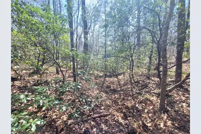 0 Trails End Summit, Ellijay, GA 30540 - Photo 5