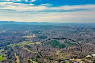 989 Irwin Mill Rd SE, Fairmount, GA 30139 - Photo 1