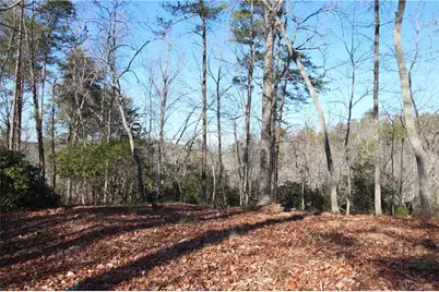 1034 Ainu Court, Dahlonega, GA 30533 - Photo 13