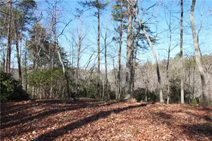 1034 Ainu Ct, Dahlonega, GA 30533 - Photo 13