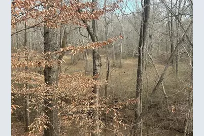 149 River Cove, Carrollton, GA 30117 - Photo 53