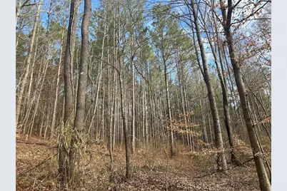 149 River Cove, Carrollton, GA 30117 - Photo 65