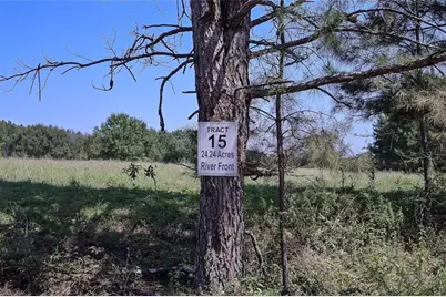 142 Riversong Road, Carrollton, GA 30117 - Photo 7