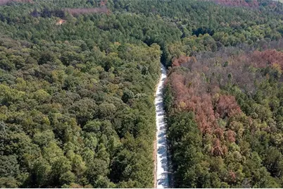 142 Riversong Road, Carrollton, GA 30117 - Photo 3