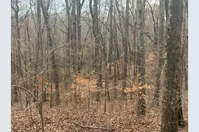 142 Riversong Road, Carrollton, GA 30117 - Photo 33