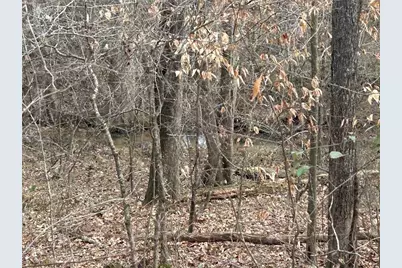 142 Riversong Road, Carrollton, GA 30117 - Photo 61