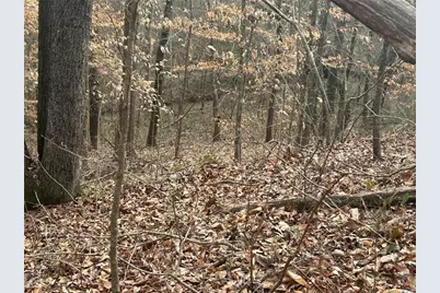 142 Riversong Road, Carrollton, GA 30117 - Photo 37