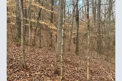 142 Riversong Road, Carrollton, GA 30117 - Photo 31