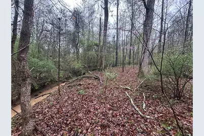 0 Walker Mountain Road SW, Rome, GA 30161 - Photo 5