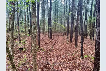 0 Walker Mountain Road SW, Rome, GA 30161 - Photo 3