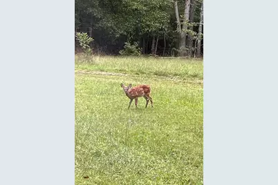 3545 Liberty Road, Villa Rica, GA 30180 - Photo 77