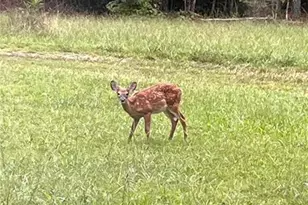 3545 Liberty Rd, Villa Rica, GA 30180 - Photo 77