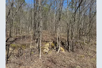 0 Prior Station Road, Cedartown, GA 30125 - Photo 9