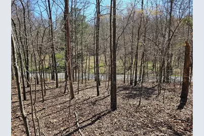 0 Prior Station Road, Cedartown, GA 30125 - Photo 3