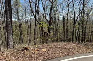 7248 Ridgeview Dr, Big Canoe, GA 30143 - Photo 1