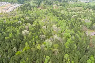 3607 Masters Rd, Ellenwood, GA 30294 - Photo 1