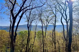 190 S View Trail, Jasper, GA 30143 - Photo 5