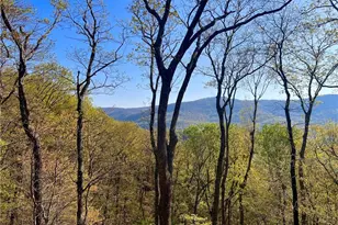 190 S View Trail, Jasper, GA 30143 - Photo 1