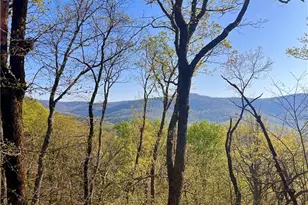 190 S View Trail, Jasper, GA 30143 - Photo 7