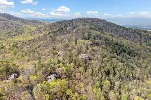 2107 McElroy Mountain Dr, Big Canoe, GA 30143 - Photo 7