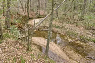 743 Blacks Creek Church Rd, Danielsville, GA 30633 - Photo 31