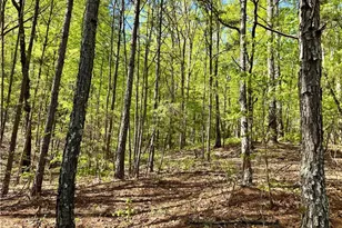 999 Grassdale Rd, Cartersville, GA 30121 - Photo 47