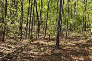 999 Grassdale Rd, Cartersville, GA 30121 - Photo 45