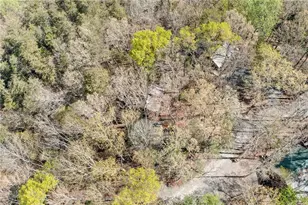 301 Laurel Creek Road, Blue Ridge, GA 30513 - Photo 29