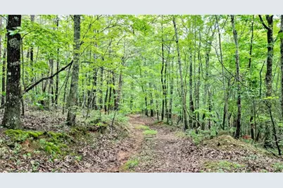 47 Ac Pine Crest, Jasper, GA 30143 - Photo 9