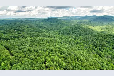 47 Ac Pine Crest, Jasper, GA 30143 - Photo 7