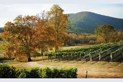 117 Pinnacle Way, Ellijay, GA 30540 - Photo 29