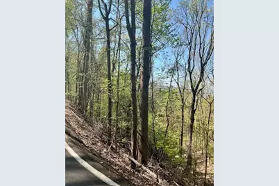 450 Wild Turkey Bluff, Jasper, GA 30143 - Photo 7