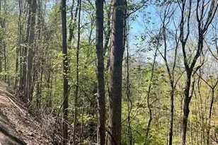 450 Wild Turkey Bluff, Jasper, GA 30143 - Photo 7