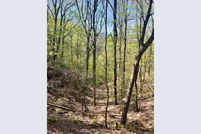 450 Wild Turkey Bluff, Jasper, GA 30143 - Photo 3