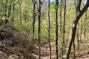 450 Wild Turkey Bluff, Jasper, GA 30143 - Photo 3