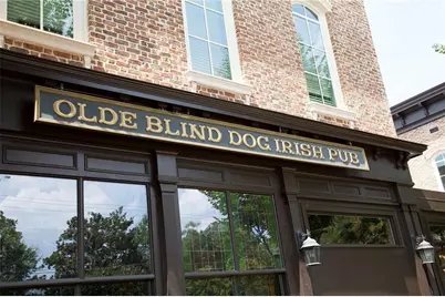 155 Alcovy Terrace, Alpharetta, GA 30009 - Photo 39