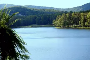 826 Woodland Trace, Big Canoe, GA 30143 - Photo 49