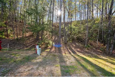 47 Dache Brucke Strasse, Helen, GA 30545 - Photo 3