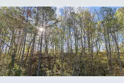 47 Dache Brucke Strasse, Helen, GA 30545 - Photo 7