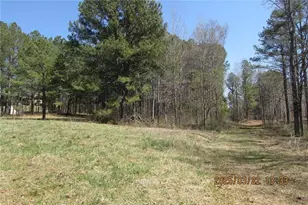 8740 Atlanta Newnan Rd, Chattahoochee Hills, GA 30268 - Photo 3