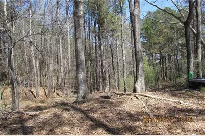 8740 Atlanta Newnan Road, Chattahoochee Hills, GA 30268 - Photo 9